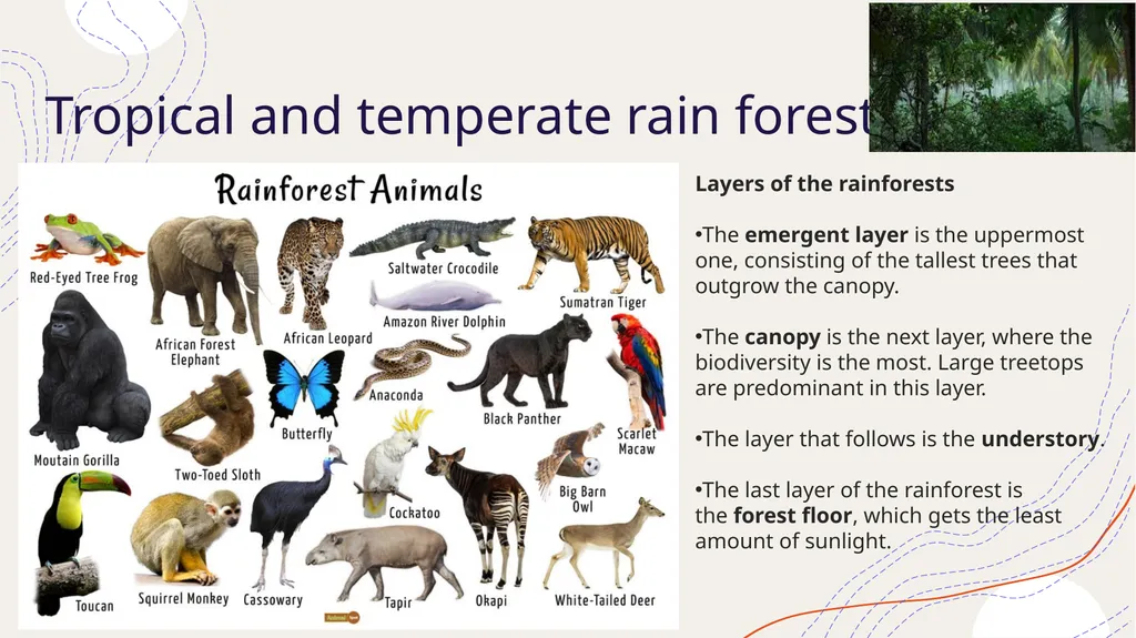 Zoogeography Lesson 3 Def. a large naturally - slide 3 of 14