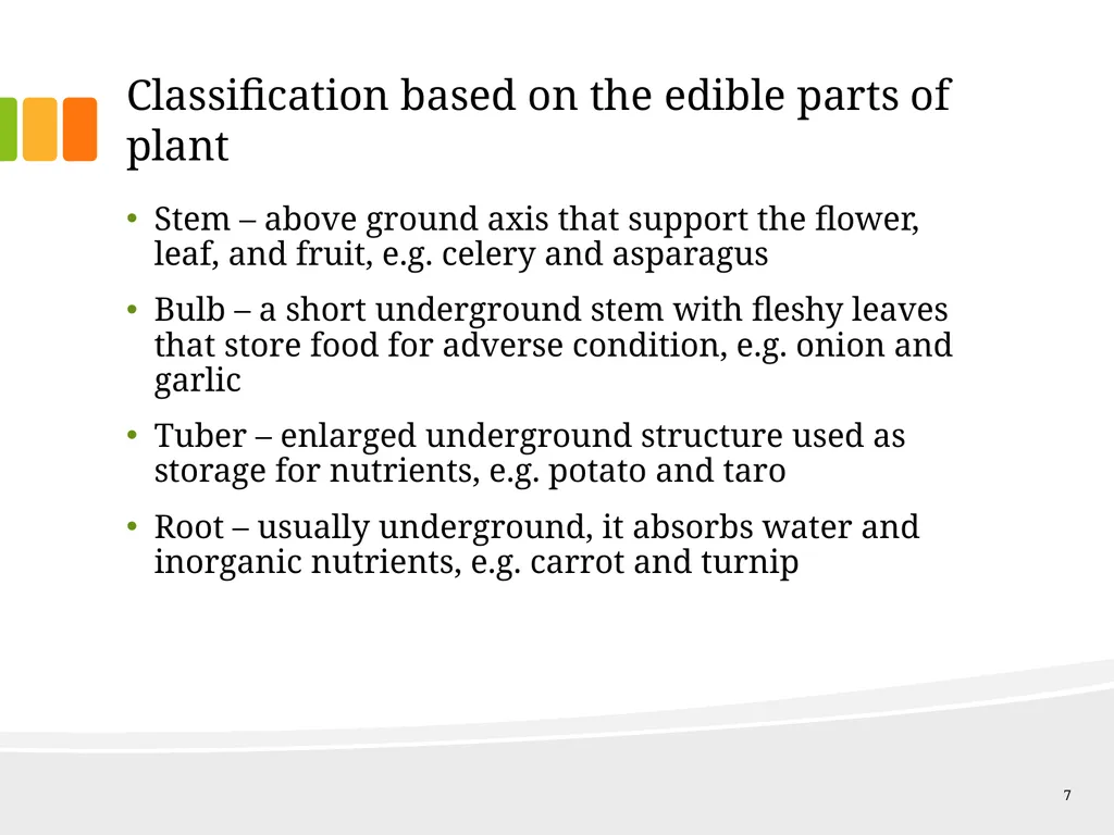 Understanding Ingredients Fruits and Vegetables - slide 7 of 31