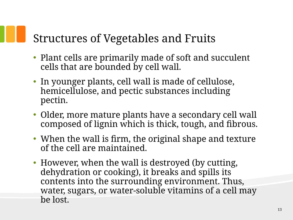 Understanding Ingredients Fruits and Vegetables - slide 13 of 31