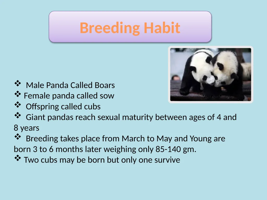 Content Common & Scientific name of the animal - slide 7 of 9