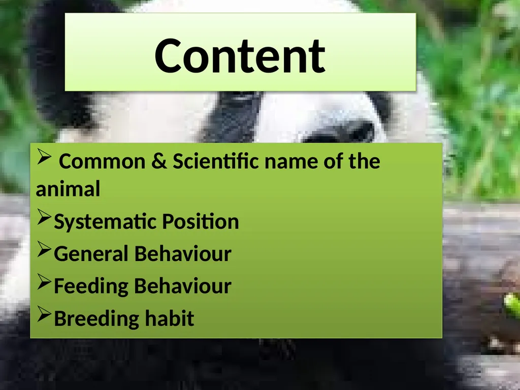 Content Common & Scientific name of the animal - slide 1 of 9