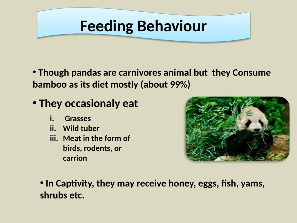 Content Common & Scientific name of the animal - slide 5 of 9
