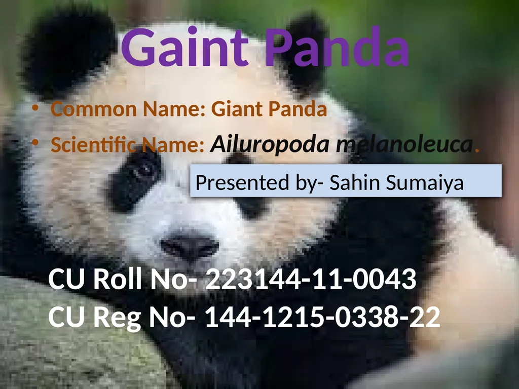 Content Common & Scientific name of the animal - slide 2 of 9