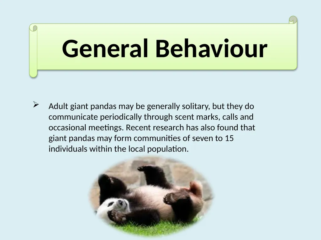 Content Common & Scientific name of the animal - slide 4 of 9
