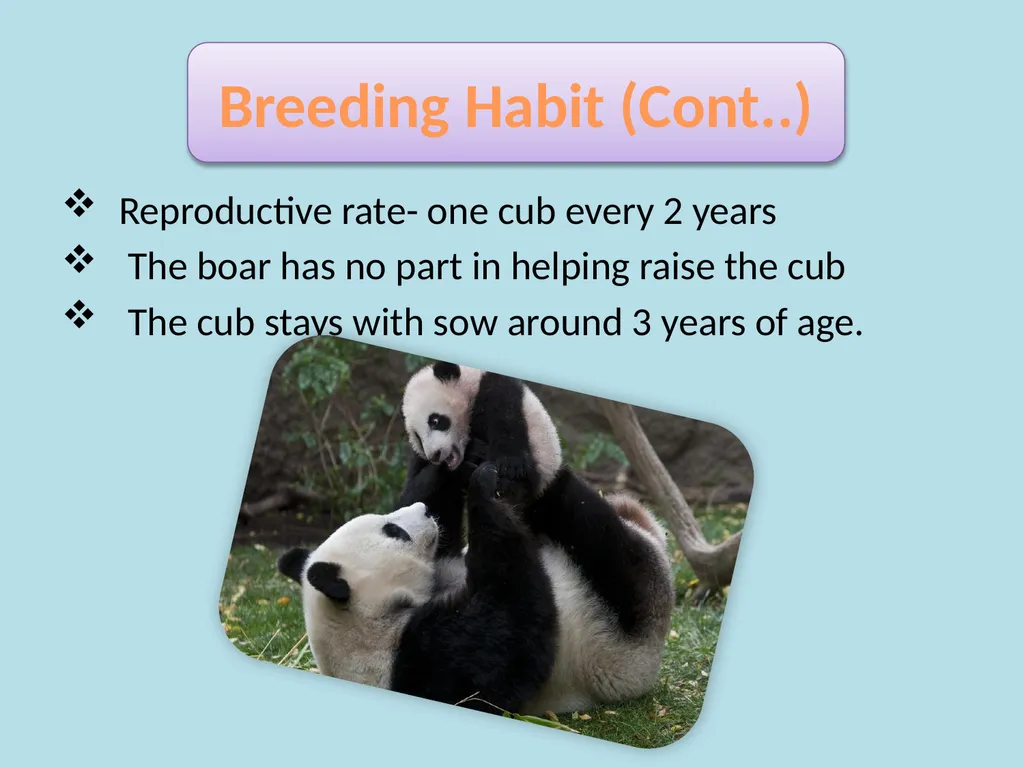 Content Common & Scientific name of the animal - slide 8 of 9