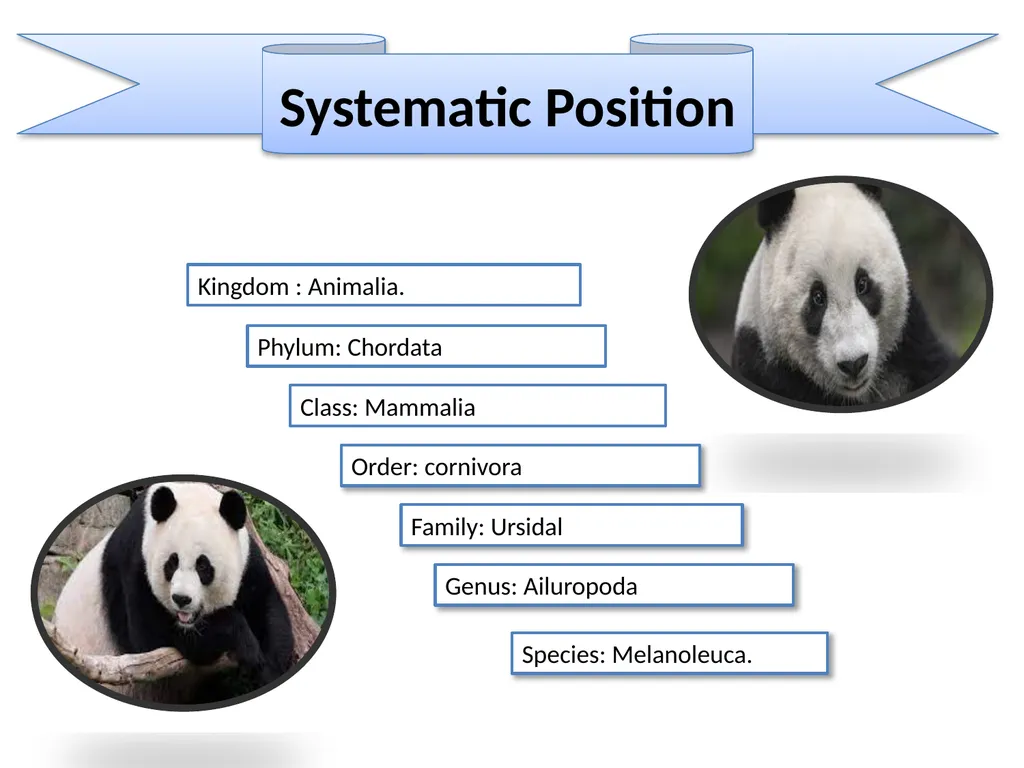 Content Common & Scientific name of the animal - slide 3 of 9