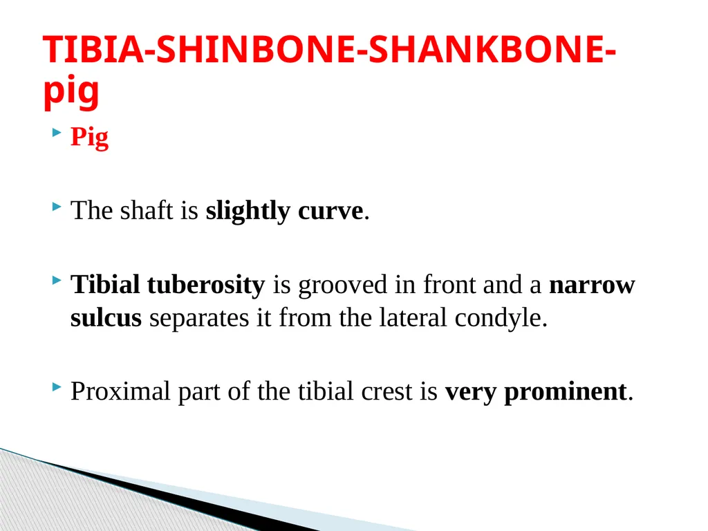 VETERINAY ANATOMY, UNIT- 6, TOPIC-Details - slide 10 of 15