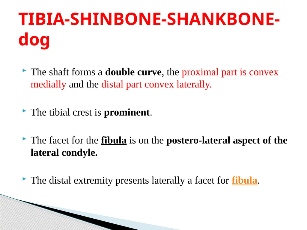 VETERINAY ANATOMY, UNIT- 6, TOPIC-Details - slide 12 of 15