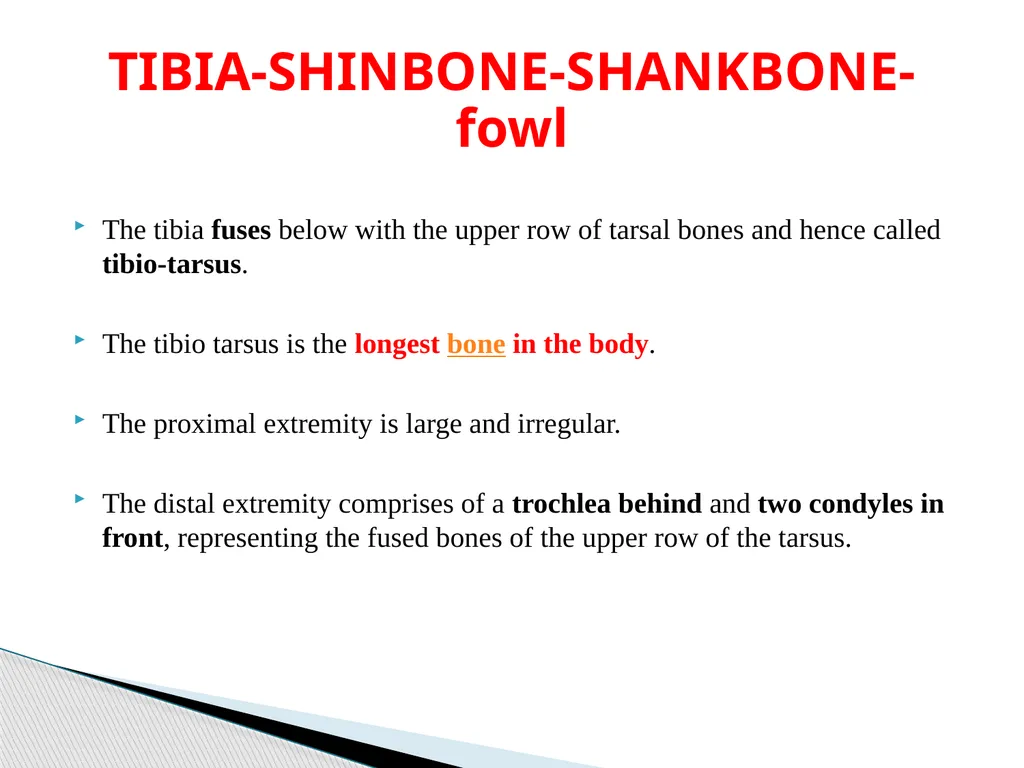 VETERINAY ANATOMY, UNIT- 6, TOPIC-Details - slide 14 of 15