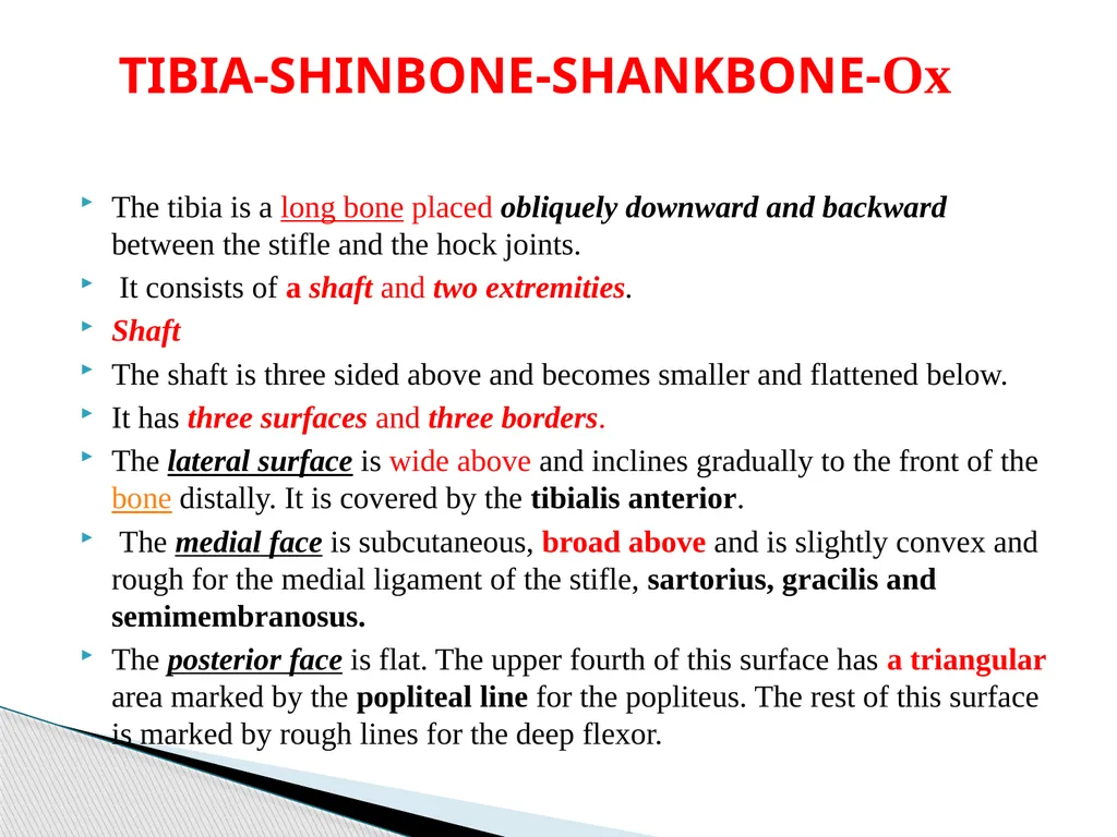 VETERINAY ANATOMY, UNIT- 6, TOPIC-Details - slide 2 of 15