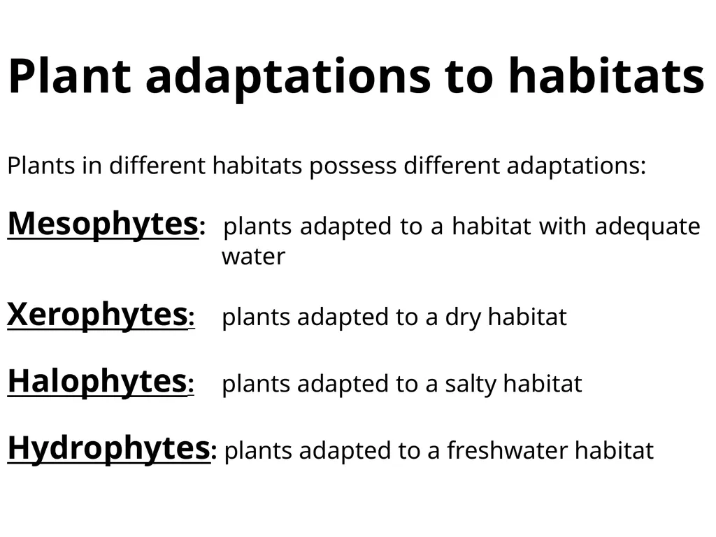 Aims of the session: Take measurements of leaves + - slide 2 of 22