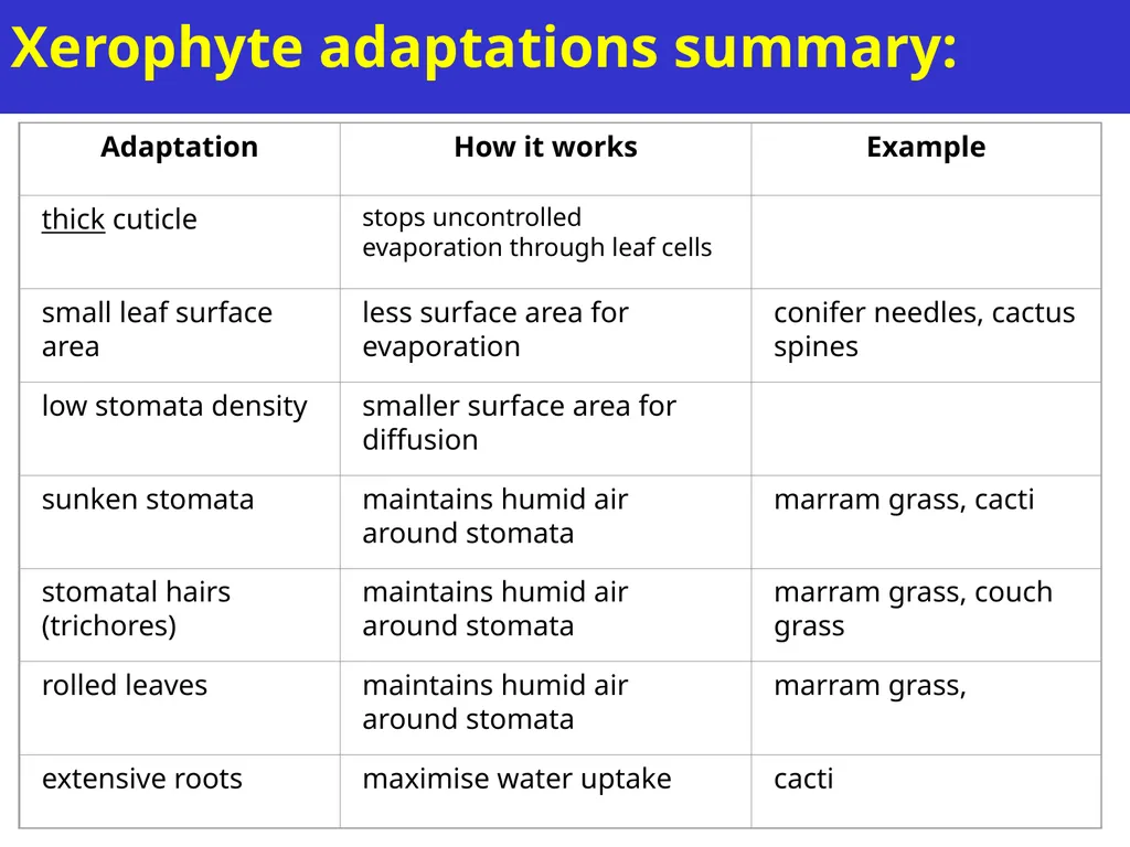 Aims of the session: Take measurements of leaves + - slide 7 of 22