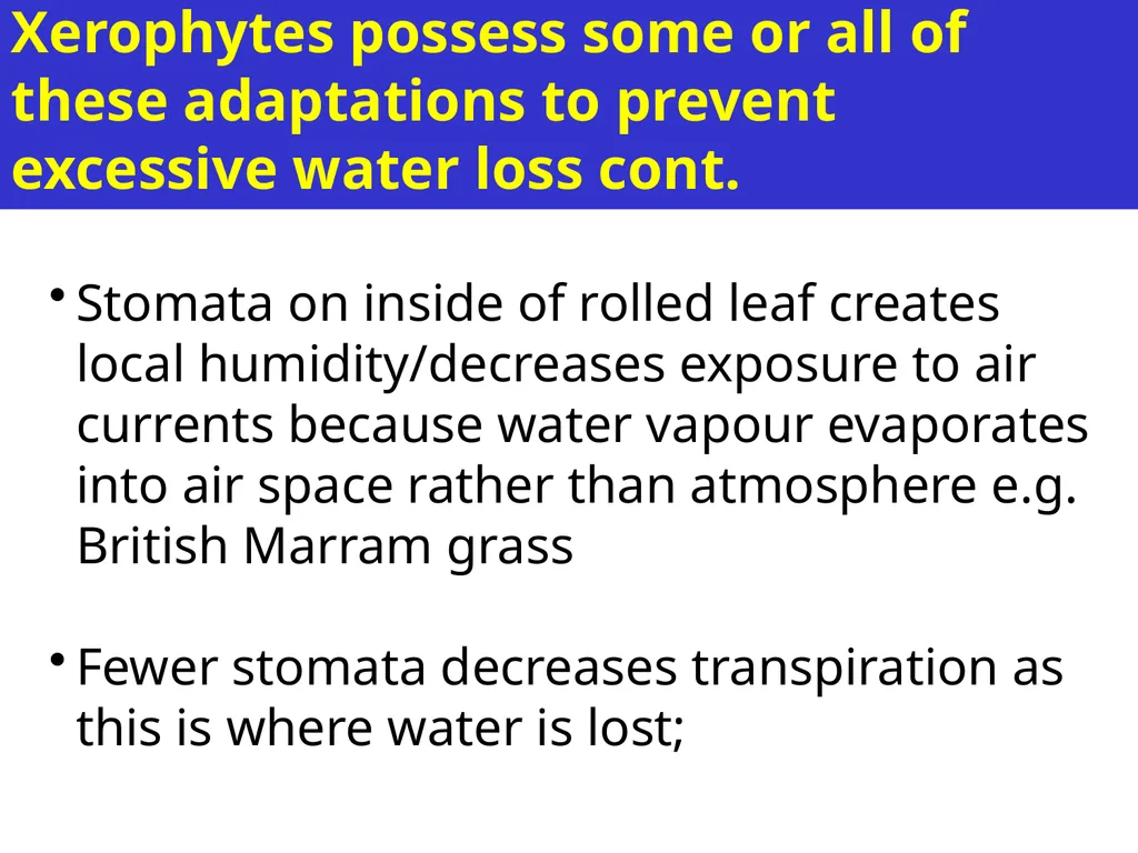 Aims of the session: Take measurements of leaves + - slide 6 of 22