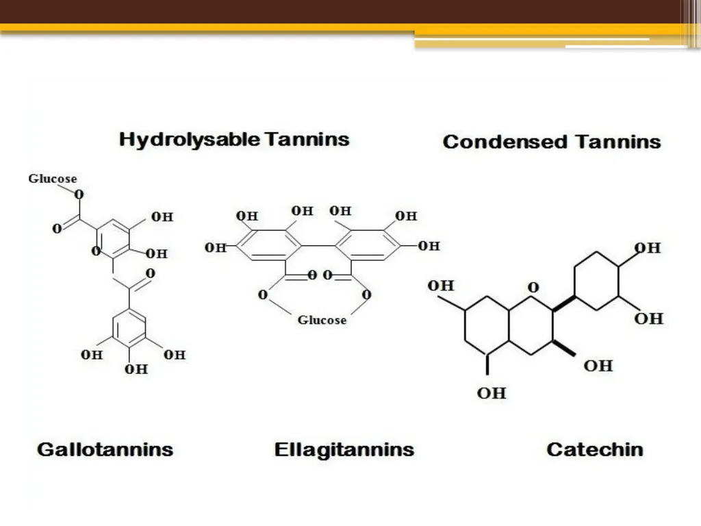 TANNINS Lab.7 Pharmacognosy 3rd Class, 1st - slide 9 of 18
