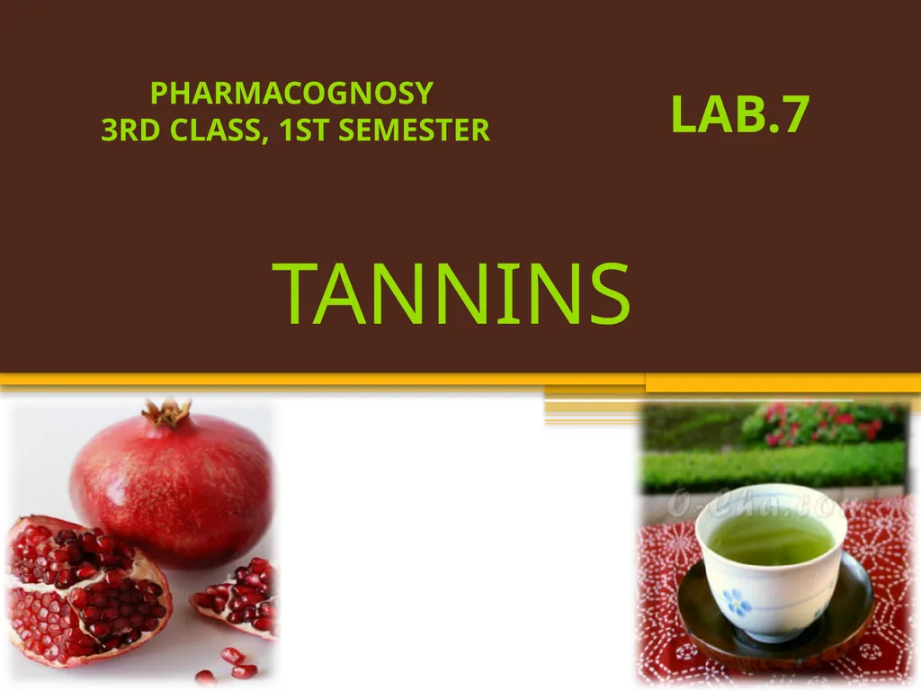 TANNINS Lab.7 Pharmacognosy 3rd Class, 1st - slide 1 of 18