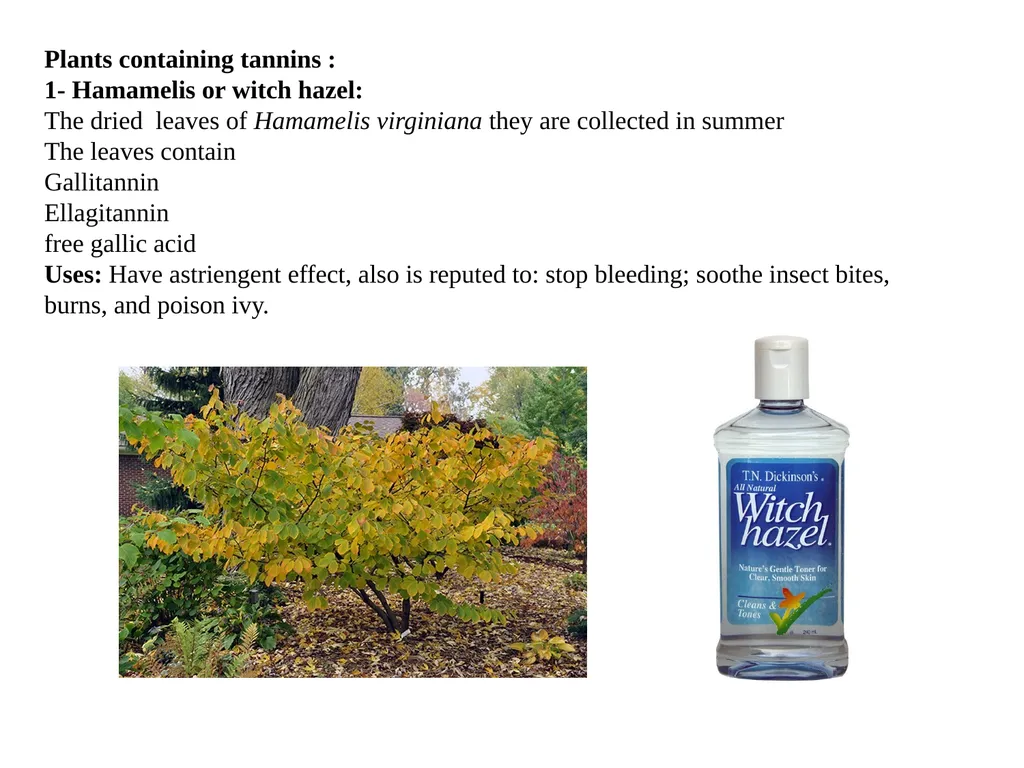 Detect the important features for - slide 14 of 18