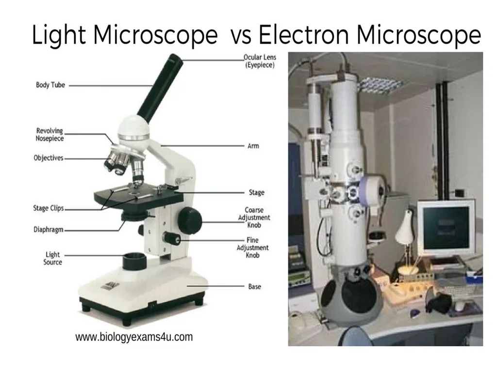 THE MICROSCOPE A Practical Guide Microscopes used - slide 21 of 22