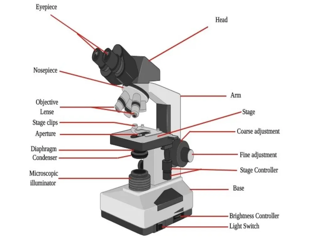 THE MICROSCOPE A Practical Guide Microscopes used - slide 6 of 22
