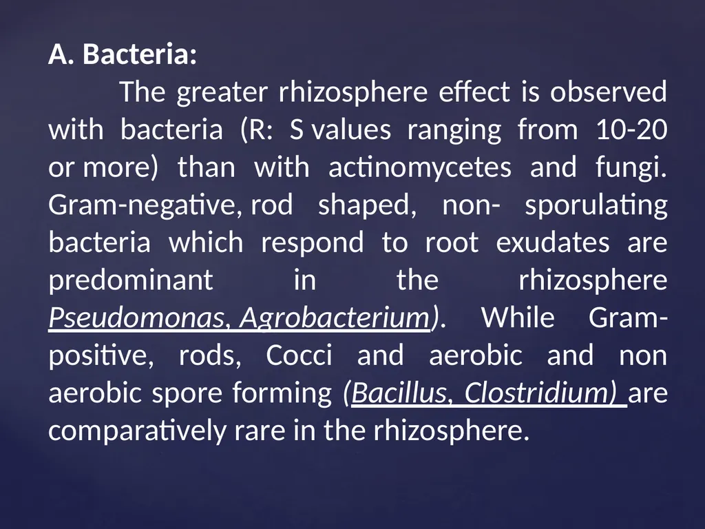 Rhizosphere Concept and its Historical Background - slide 7 of 49
