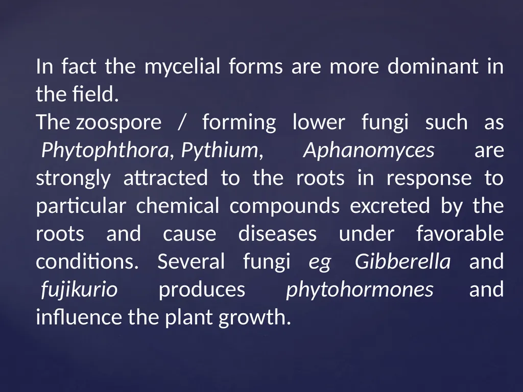 Rhizosphere Concept and its Historical Background - slide 11 of 49