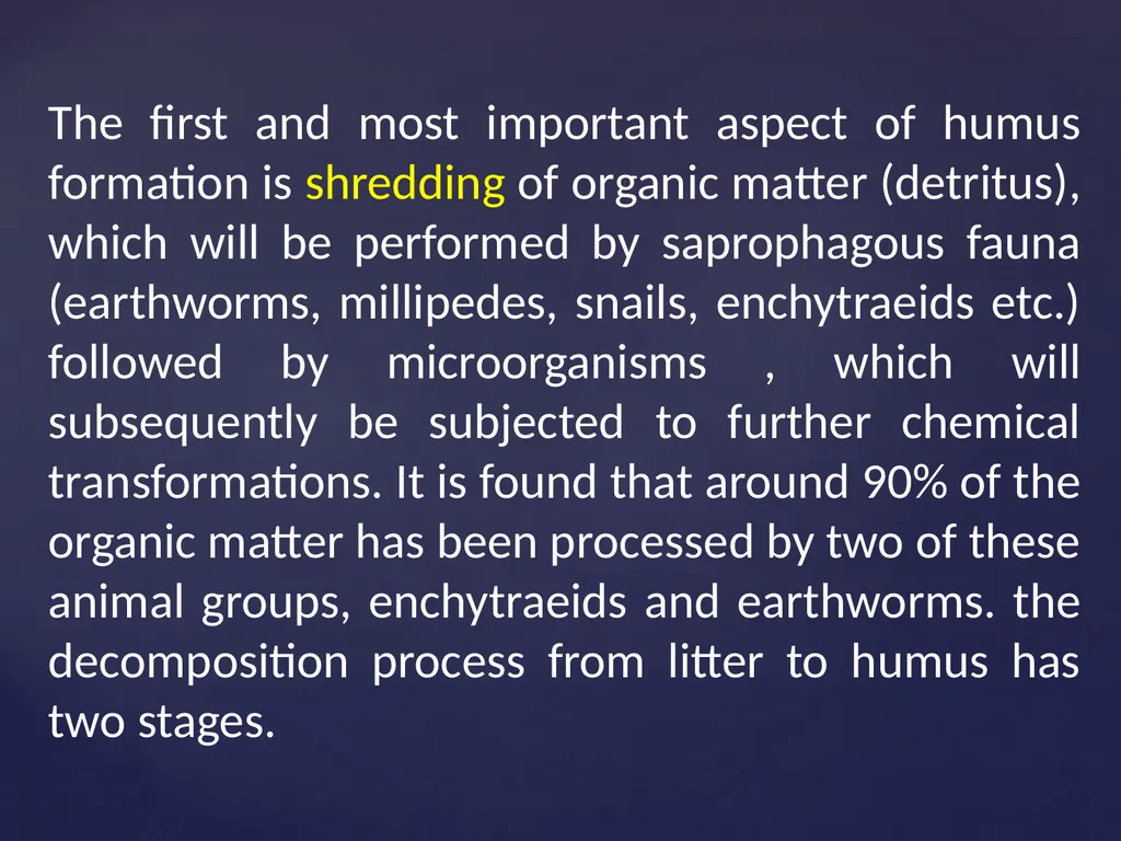 Rhizosphere Concept and its Historical Background - slide 28 of 49