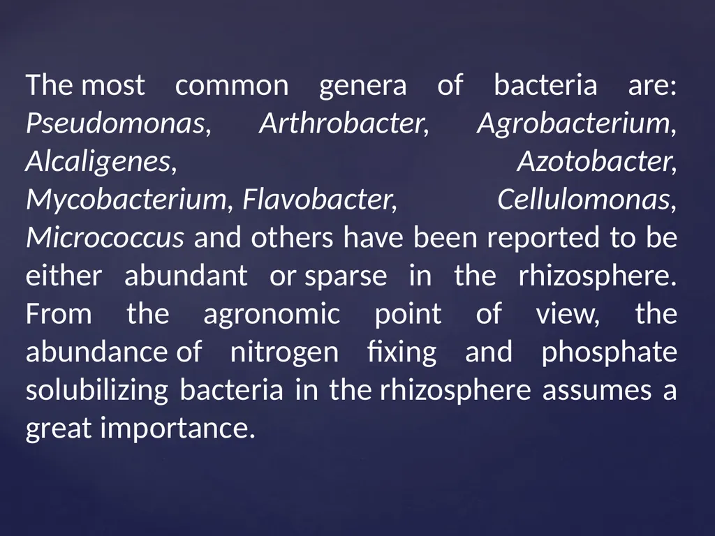 Rhizosphere Concept and its Historical Background - slide 8 of 49