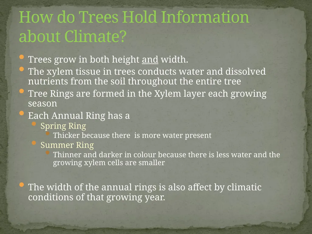How Trees provide Evidence about past Climate - slide 4 of 7