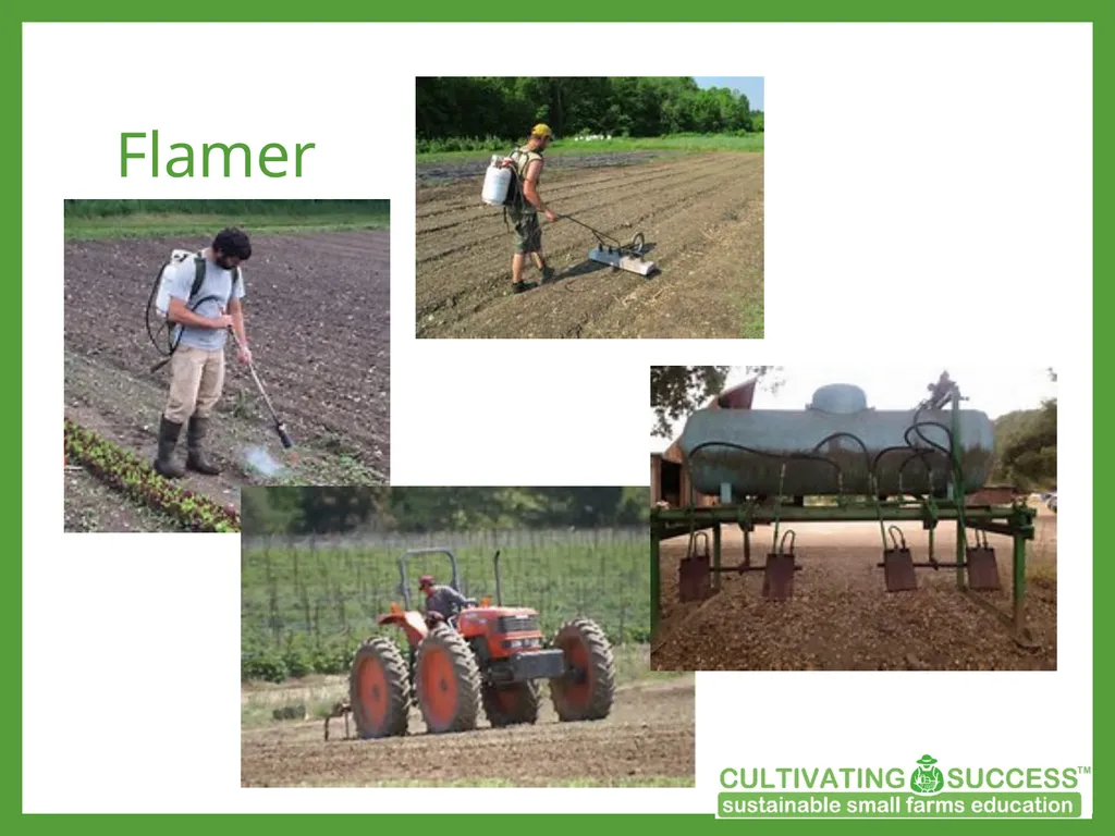 Sustainable Weed Management Strategies Know your - slide 16 of 20
