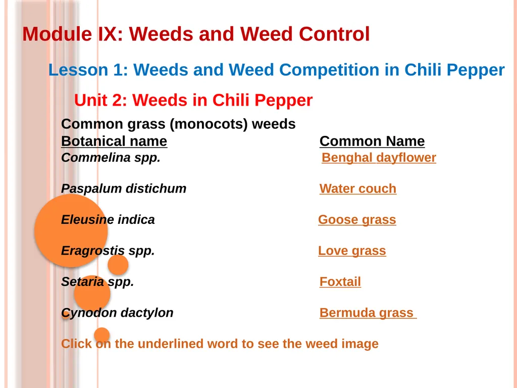 Module IX: Weeds and Weed Control Lesson 1: Weeds - slide 10 of 11
