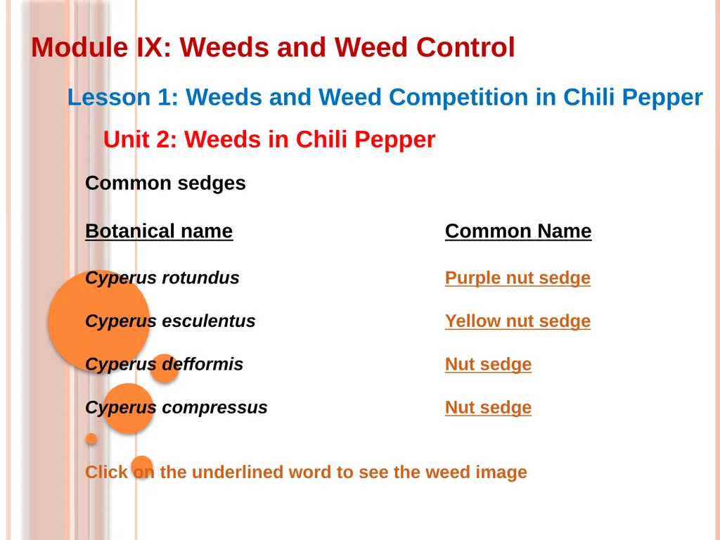 Module IX: Weeds and Weed Control Lesson 1: Weeds - slide 11 of 11