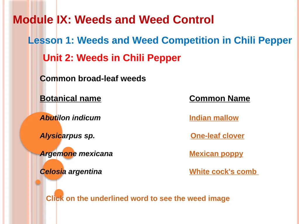 Module IX: Weeds and Weed Control Lesson 1: Weeds - slide 4 of 11