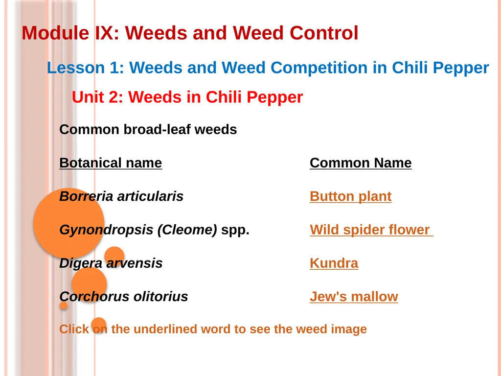 Module IX: Weeds and Weed Control Lesson 1: Weeds - slide 5 of 11