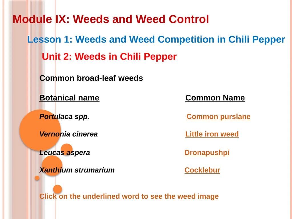 Module IX: Weeds and Weed Control Lesson 1: Weeds - slide 6 of 11