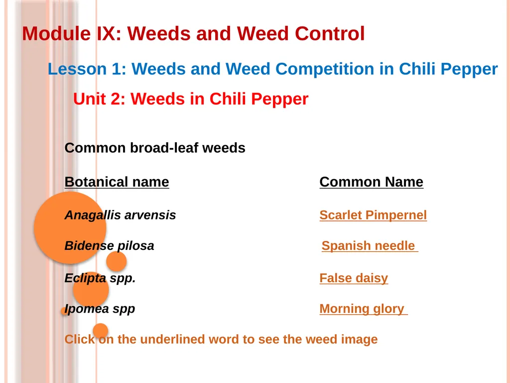 Module IX: Weeds and Weed Control Lesson 1: Weeds - slide 7 of 11