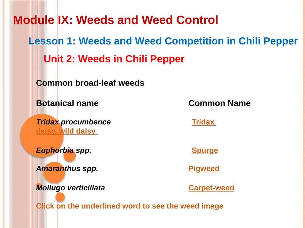 Module IX: Weeds and Weed Control Lesson 1: Weeds - slide 8 of 11