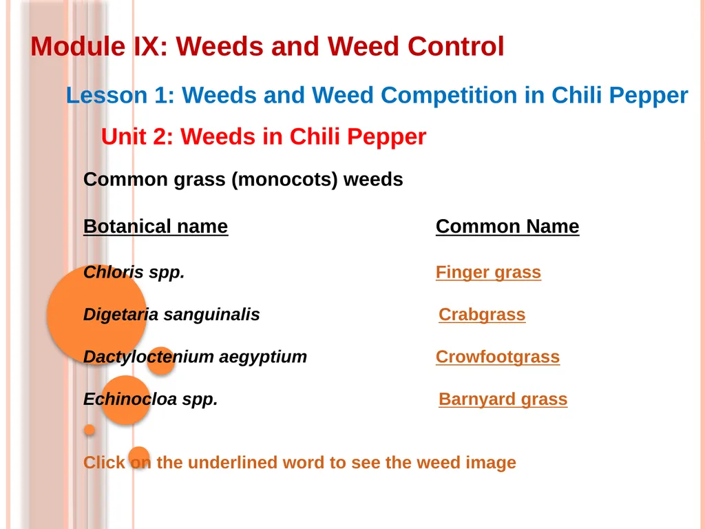 Module IX: Weeds and Weed Control Lesson 1: Weeds - slide 9 of 11