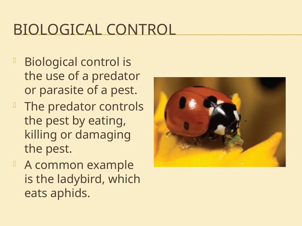 Crop Production and Principles Project link As - slide 11 of 21