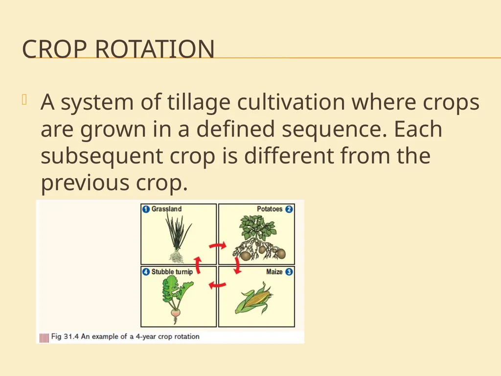 Crop Production and Principles Project link As - slide 8 of 21