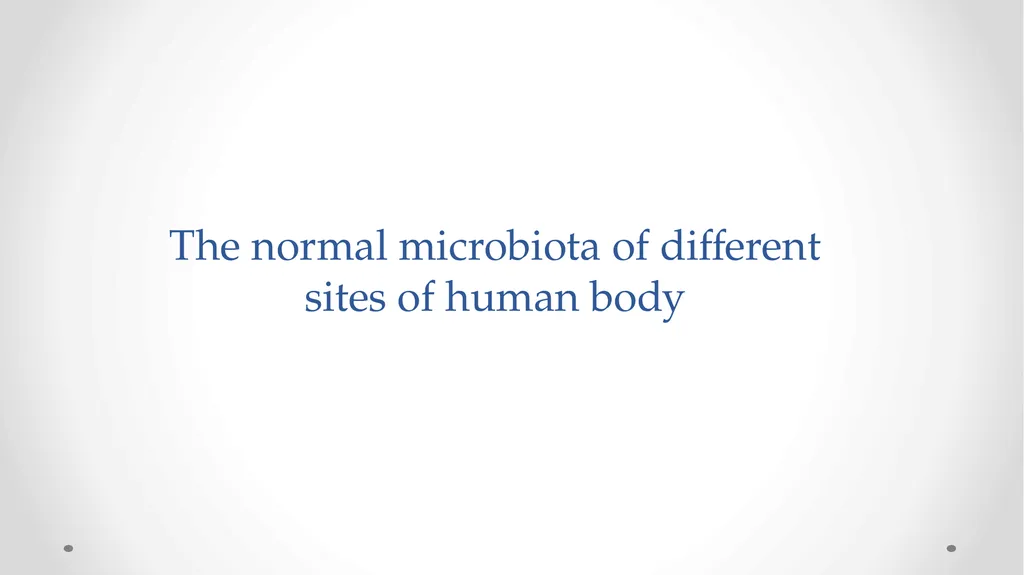 Normal Human Microbiota Dr Ali Abdulwahid overview - slide 7 of 28