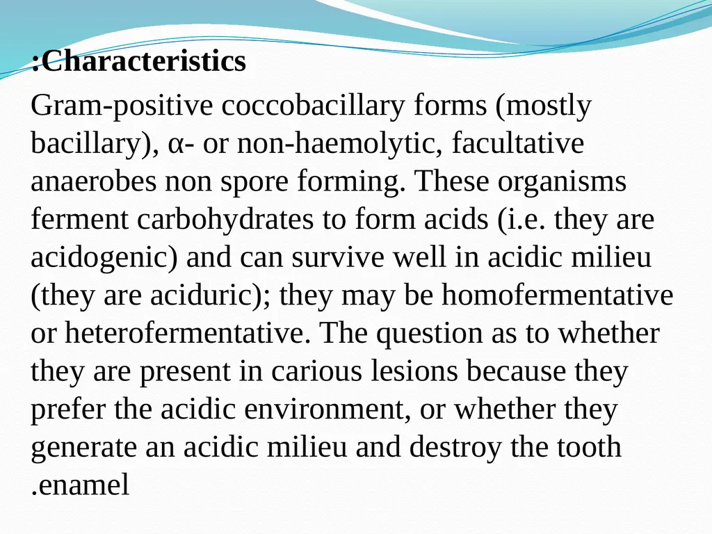 Lactobacilli Asst .Prof .Dr. Bara′ Hamid - slide 5 of 12