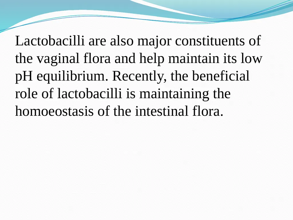 Lactobacilli Asst .Prof .Dr. Bara′ Hamid - slide 6 of 12