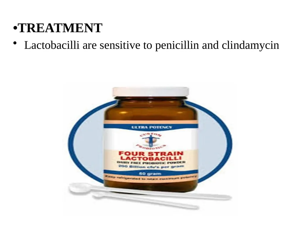 Lactobacilli Asst .Prof .Dr. Bara′ Hamid - slide 9 of 12