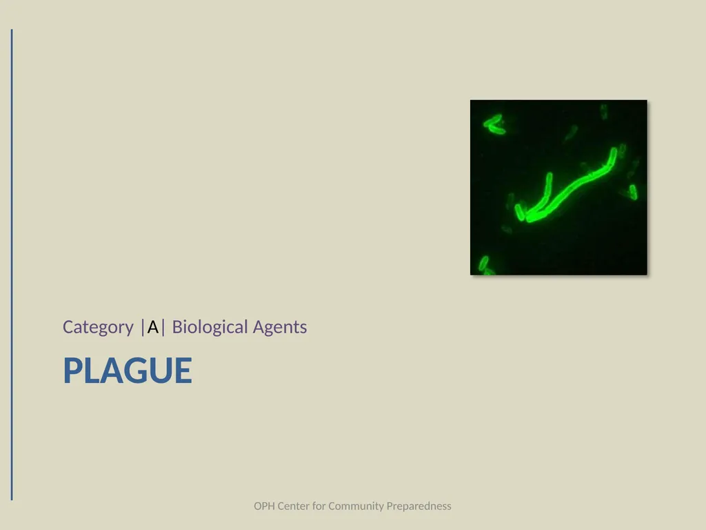 Category |A| Biological Agents Louisiana Office of - slide 30 of 68