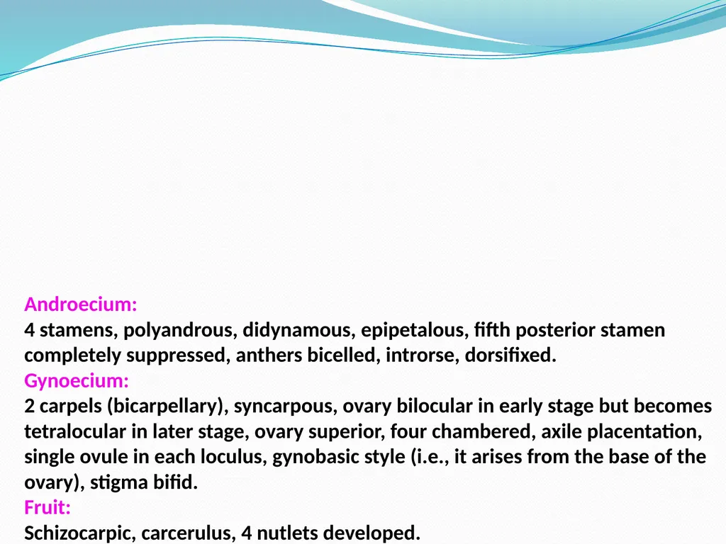 SYSTEMATIC BOTANY Dr.Tripta Jain Asst. Professor - slide 5 of 11