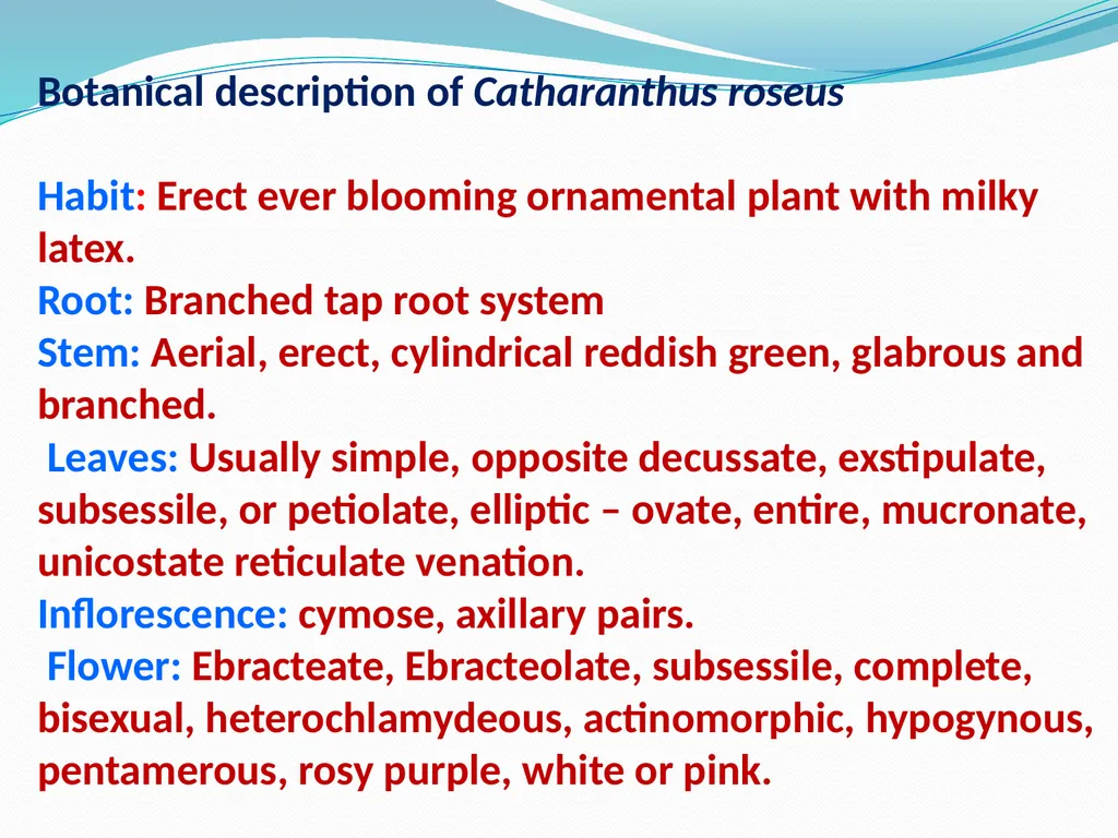 SYSTEMATIC BOTANY Dr.Tripta Jain Asst. Professor - slide 9 of 11