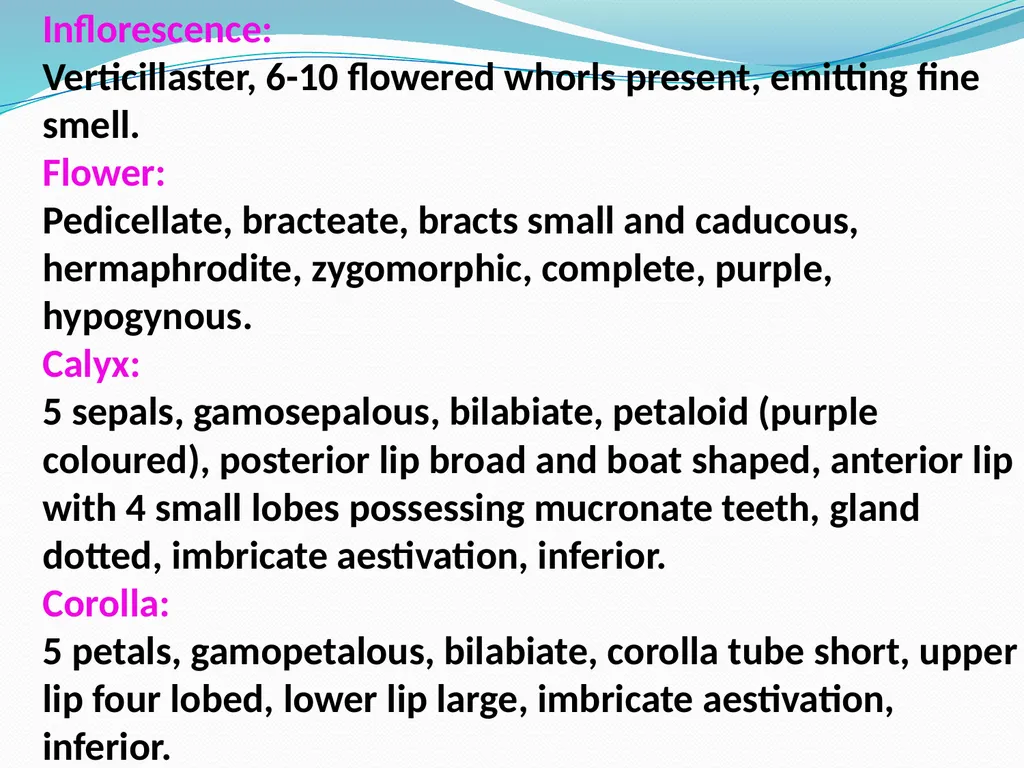 SYSTEMATIC BOTANY Dr.Tripta Jain Asst. Professor - slide 4 of 11