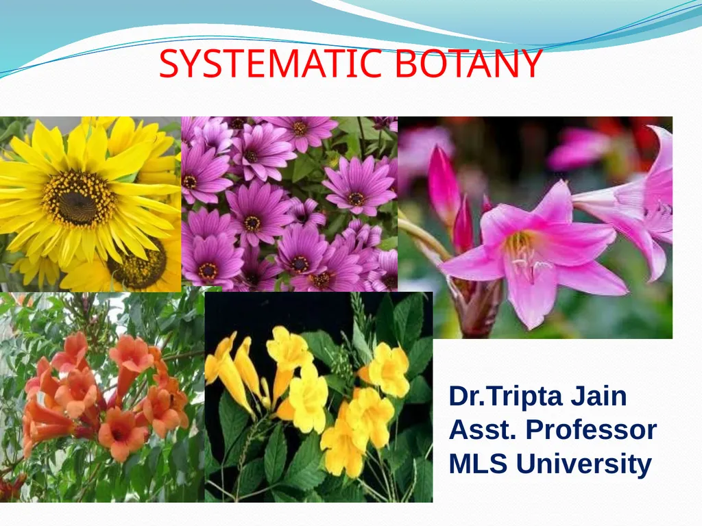 SYSTEMATIC BOTANY Dr.Tripta Jain Asst. Professor - slide 1 of 11