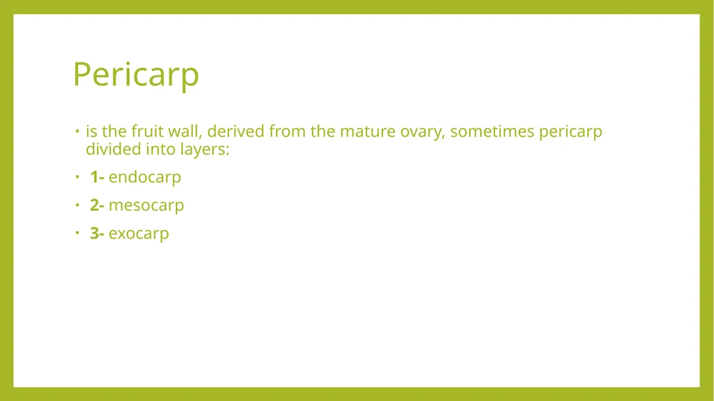 Fruits the mature ovaries or pistils of flowering - slide 2 of 8