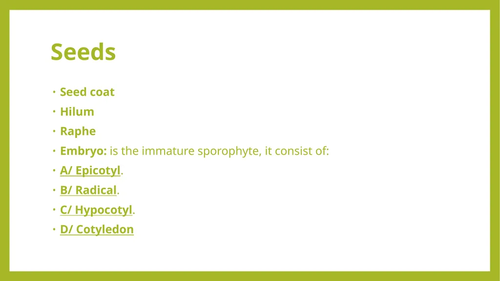 Fruits the mature ovaries or pistils of flowering - slide 7 of 8