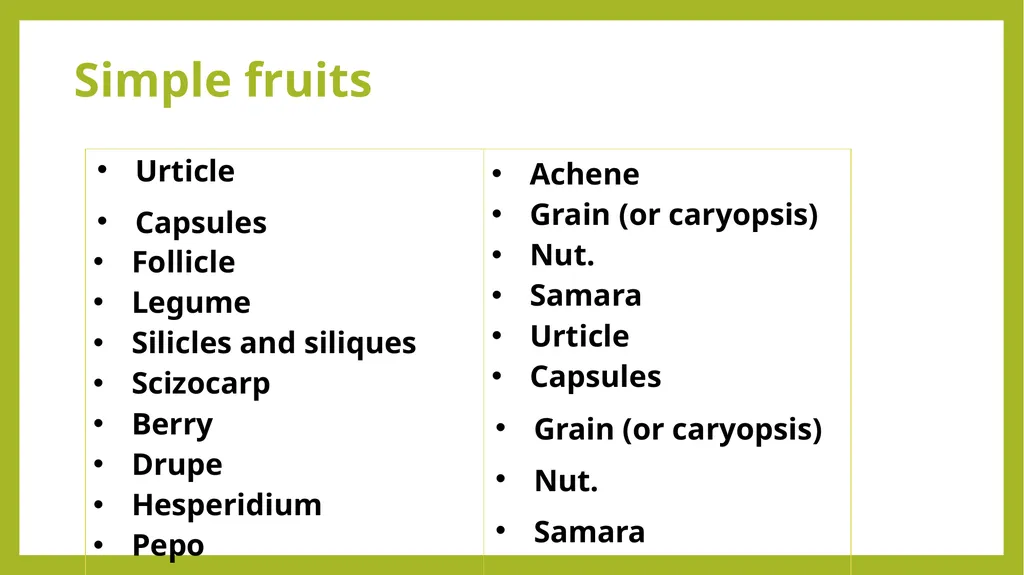 Fruits the mature ovaries or pistils of flowering - slide 3 of 8